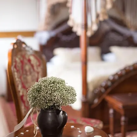 Zamek Luzec & Wellness Готель 4*